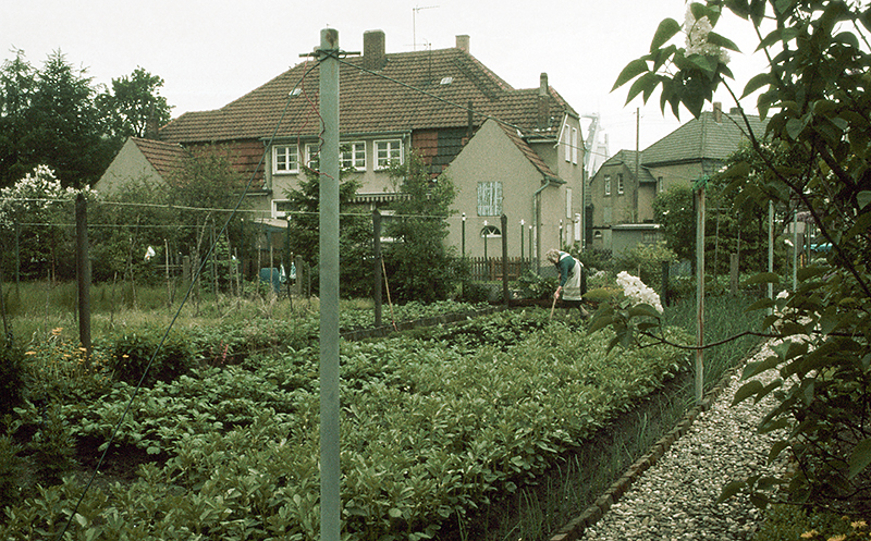 Datei:Garten 1982.jpg